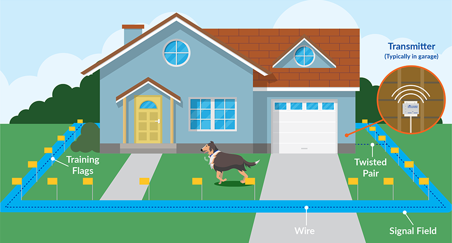 Diagram of Underground Dog Fence